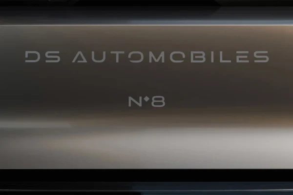 DS N.8